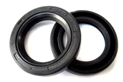 « Oil Seal