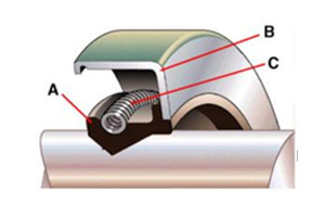 Oil Seal Structure