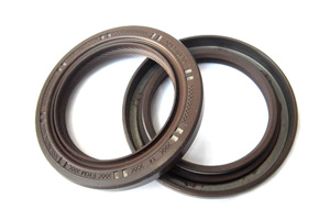 Oil Seal Structure