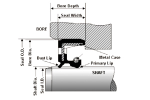 Oil Seal Diamension