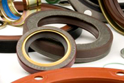 Oil Seal